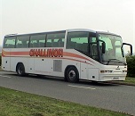 Modern Executive Coaches